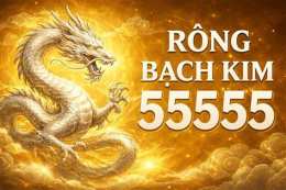 ảnh chụp màn hình rồng bạch kim soi cầu xổ số