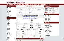 giao diện app dự đoán kết quả xổ số miền bắc 247
