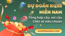 giao diện app dự đoán xổ số thủ đô