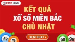 hướng dẫn sử dụng coi xổ số miền bắc chủ nhật hàng tuần