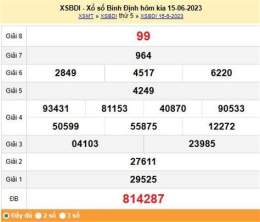 hướng dẫn sử dụng dự đoán xổ số bình định net