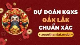 hướng dẫn sử dụng dự đoán xổ số đắk lắk wap
