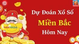 hướng dẫn sử dụng dự đoán xổ số daklak net