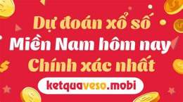hướng dẫn sử dụng dự đoán xổ số miền nam bữa nay