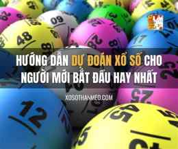 hướng dẫn sử dụng du đoán xổ số