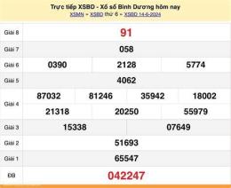 hướng dẫn sử dụng kết quả xổ số bình dương ngày 14 tháng 8