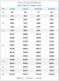 hướng dẫn sử dụng kết quả xổ số đồng nai ngày 29 tháng 10