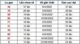 hướng dẫn sử dụng kết quả xổ số gia lai 100 ngày