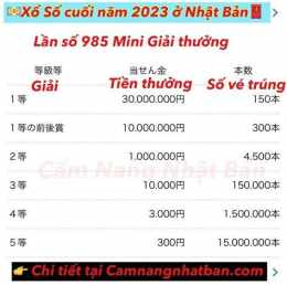 hướng dẫn sử dụng kết quả xổ số năm 2023
