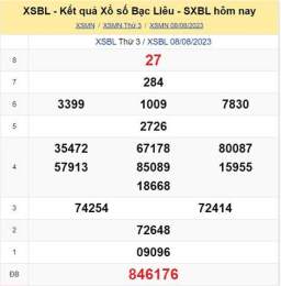 hướng dẫn sử dụng kết quả xổ số ngày 15 tháng 8
