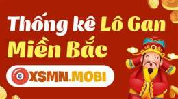 hướng dẫn sử dụng lô gan của xổ số miền bắc