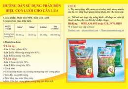hướng dẫn sử dụng mien nam xo so