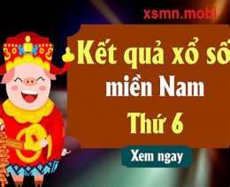 hướng dẫn sử dụng số xổ miền nam thứ sáu