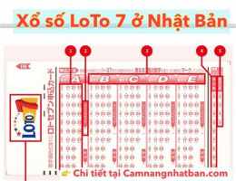 hướng dẫn sử dụng số xổ thu 7
