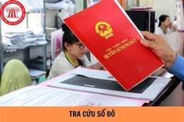 hướng dẫn sử dụng so xo tra cuu