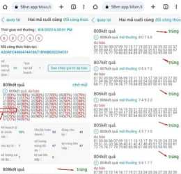 hướng dẫn sử dụng xổ số 12 tháng 1