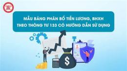 hướng dẫn sử dụng xổ số 12 tháng 11