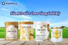 hướng dẫn sử dụng xo so 2/10