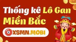 tính năng nổi bật lô gan miền bắc xổ số minh ngọc
