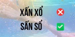 tính năng nổi bật sấn sổ hay xấn xổ