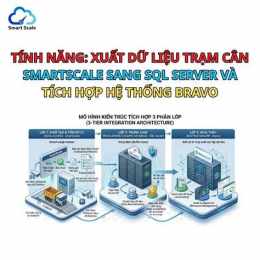 tính năng nổi bật số xổ ha nội