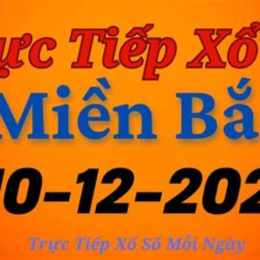 trực tiếp xổ số miền bắc 90 ngày