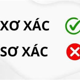 xác xơ hay xác sơ