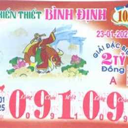 xổ số bình định ngày 11