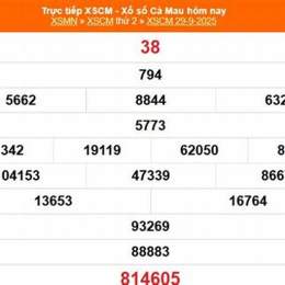 xổ số cà mau 29 tháng 12