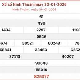 xổ số ninh thuận 30 ngày trước